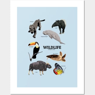 Save beautiful Wildlife Posters and Art